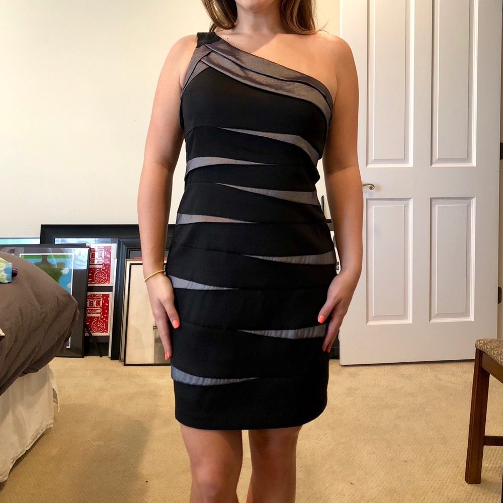 Betsy and Adam Black and silver dress
